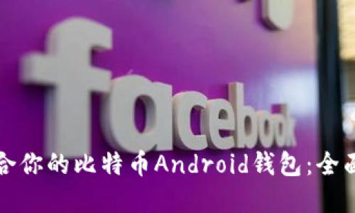 如何选择适合你的比特币Android钱包：全面指南与推荐