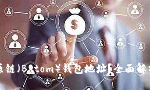 如何查询比原链（Bytom）钱包地址？全面解析与操作指南