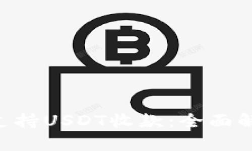 ETC钱包是否支持USDT收款：全面解析与使用指南