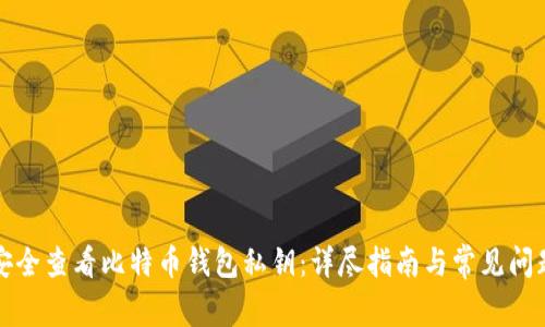如何安全查看比特币钱包私钥：详尽指南与常见问题解答
