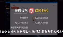 如何安全查看比特币钱包私钥：详尽指南与常见