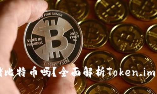 Token.im钱包能存储比特币吗？全面解析Token.im钱包的功能与安全性