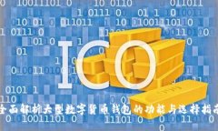 全面解析大型数字货币钱包的功能与选择指南