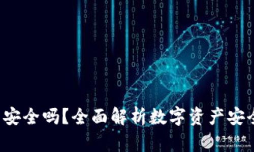 Token数字钱包安全吗？全面解析数字资产安全性与防护措施