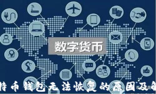 
闪电比特币钱包无法恢复的原因及解决方案