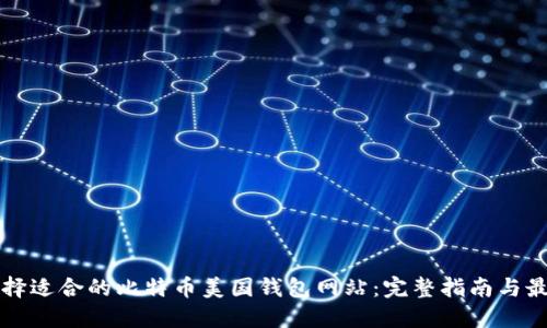 如何选择适合的比特币美国钱包网站：完整指南与最佳推荐