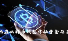 如何有效地在比特币钱包中融资金及其注意事项