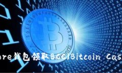 如何通过Core钱包领取BCC（Bitcoin Cash）详细指南