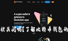 比特币钱包会被关闭吗？了解比特币钱包的安全