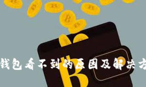 比特币钱包看不到的原因及解决方案详解