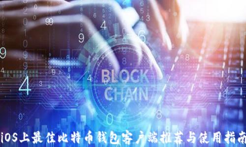 
iOS上最佳比特币钱包客户端推荐与使用指南