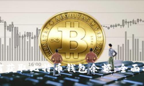 如何获取比特币钱包余额：全面指南