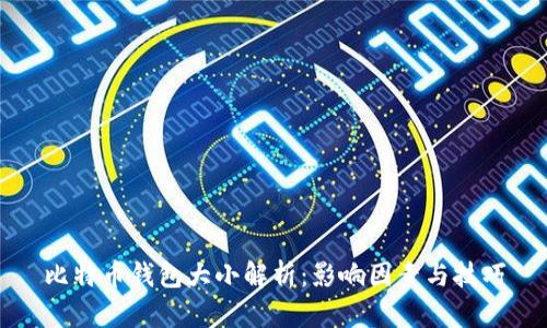 比特币钱包大小解析：影响因素与技巧
