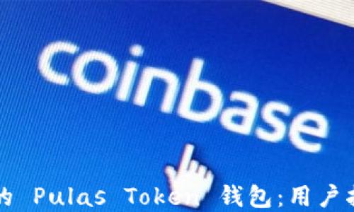 
如何选择合适的 Pulas Token 钱包：用户指南与最佳实践