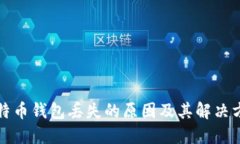 比特币钱包丢失的原因及其解决方案