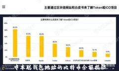 中本聪钱包地址的比特币余额揭秘