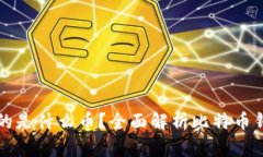 比特币钱包存放的是什么币？全面解析比特币钱