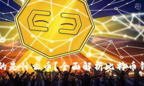 比特币钱包存放的是什么币？全面解析比特币钱包的功能与类型