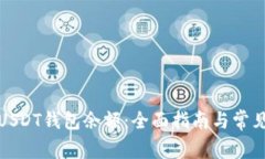 如何查看USDT钱包余额：全面指南与常见问题解答