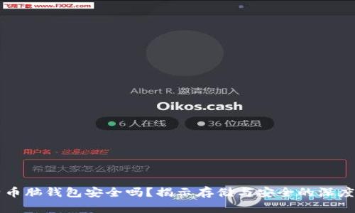 比特币脑钱包安全吗？揭示存储与安全的深度分析