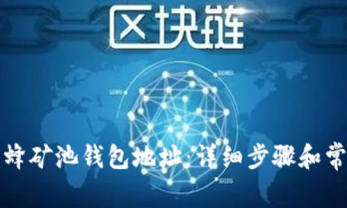 如何查看蜜蜂矿池钱包地址：详细步骤和常见问题解析