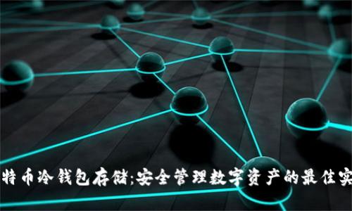 比特币冷钱包存储：安全管理数字资产的最佳实践