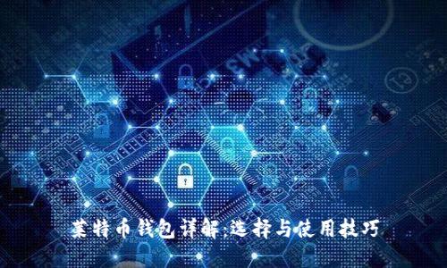 莱特币钱包详解：选择与使用技巧