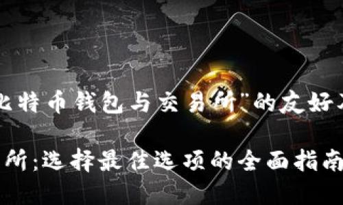 以下是一个关于“比特币钱包与交易所”的友好及相关内容的示例：

比特币钱包与交易所：选择最佳选项的全面指南