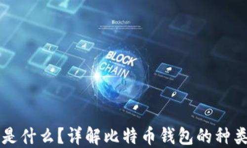 
比特币钱包是什么？详解比特币钱包的种类与使用方法