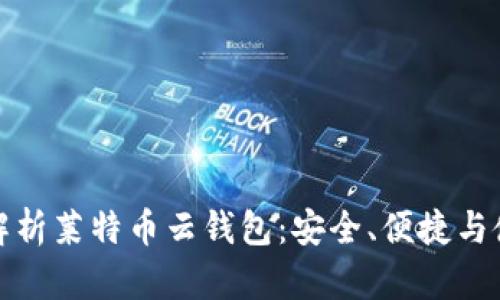 : 全面解析莱特币云钱包：安全、便捷与使用指南