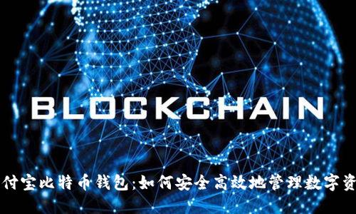 支付宝比特币钱包：如何安全高效地管理数字资产
