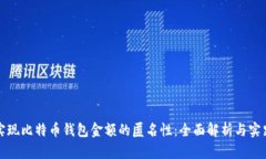 如何实现比特币钱包金额的匿名性：全面解析与