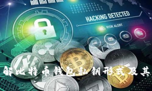 深入了解比特币钱包私钥形式及其安全性