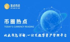 比太钱包详解：一站式数字资产管理平台