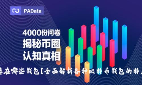 比特币存在哪些钱包？全面解析各种比特币钱包的特点与选择