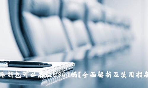 冷钱包可以存放USDT吗？全面解析及使用指南