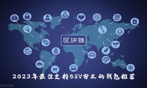 2023年最佳支持BSV分叉的钱包推荐