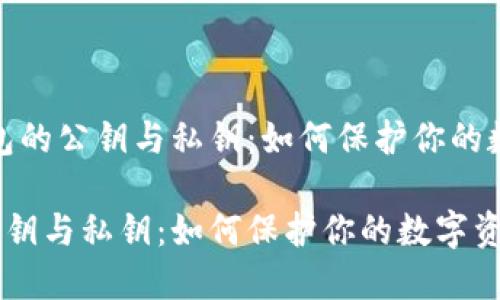 主题：钱包的公钥与私钥：如何保护你的数字资产？

钱包的公钥与私钥：如何保护你的数字资产安全