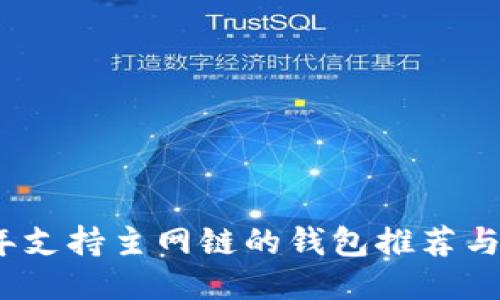 : 2023年支持主网链的钱包推荐与使用指南