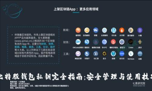 比特股钱包私钥完全指南：安全管理与使用技巧