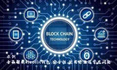 示例全面解析Riecoin钱包：安全性、使用方法及常