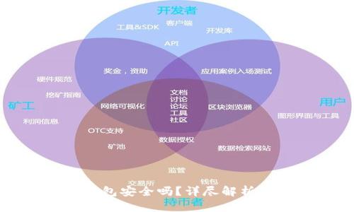 狗狗币轻钱包安全吗？详尽解析和使用指南
