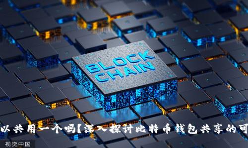 比特币钱包可以共用一个吗？深入探讨比特币钱包共享的可行性与安全性