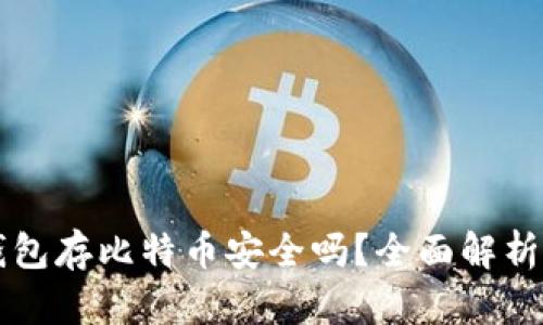 Token.im钱包存比特币安全吗？全面解析与使用指南