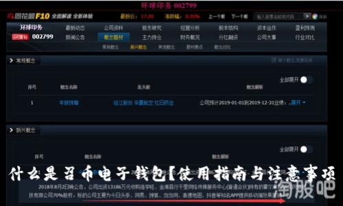 什么是召币电子钱包？使用指南与注意事项