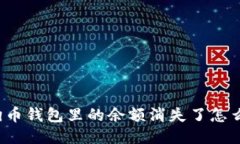 狗狗币钱包里的余额消失了怎么办？