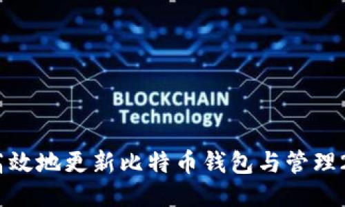如何安全高效地更新比特币钱包与管理200GB数据