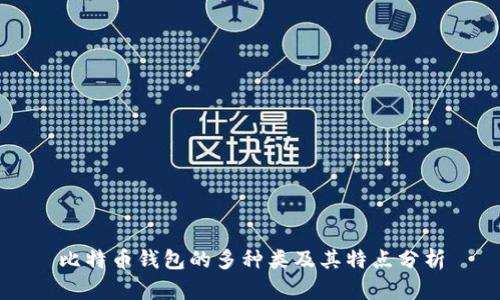 比特币钱包的多种类及其特点分析