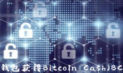 
如何通过离线钱包获得Bitcoin Cash（BCC）的详细指南