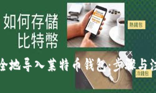 如何安全地导入莱特币钱包：步骤与注意事项